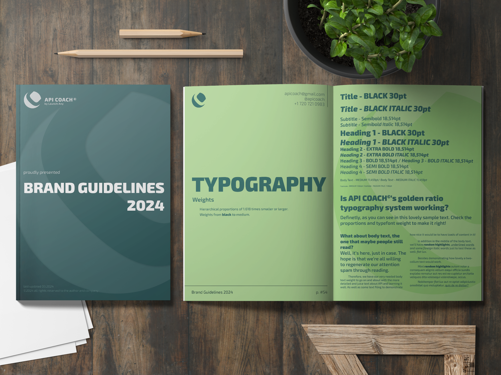 API Coach brand guidelines — cover and typography spread