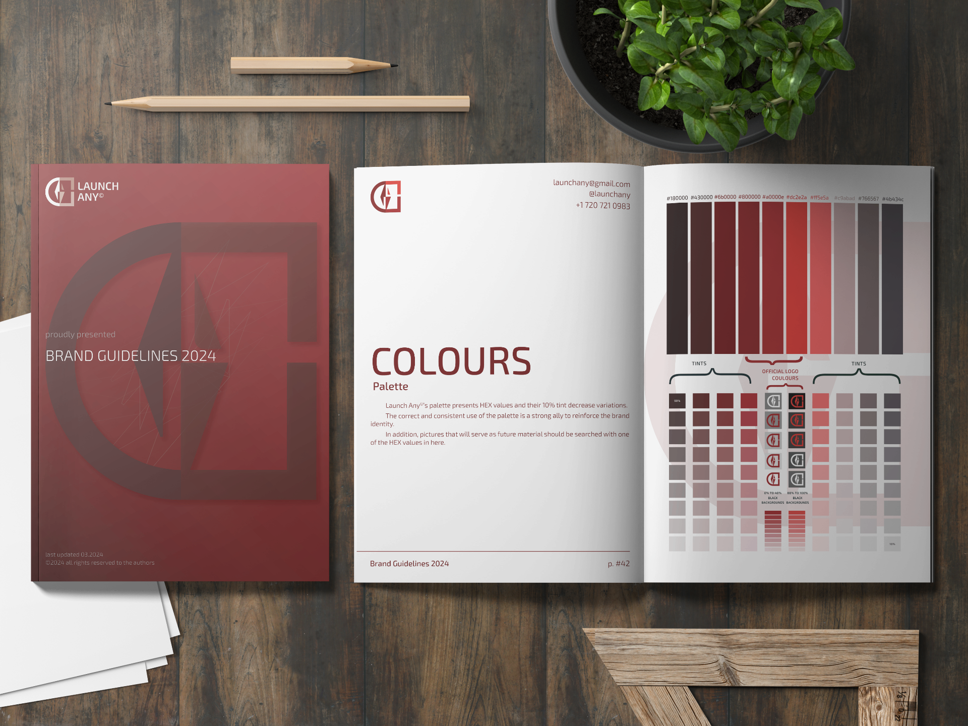 Launch Any brand guidelines — cover and colour palette spread